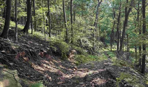 Photo #12 of 198 acres RUNIONS CREEK RD, BROADWAY, VA 198.5 acres