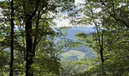 Photo #2 of 198 acres RUNIONS CREEK RD, BROADWAY, VA 198.5 acres