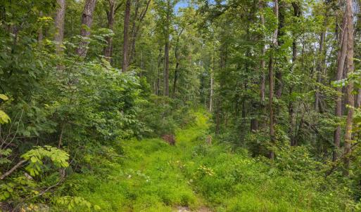 Photo #54 of 198 acres RUNIONS CREEK RD, BROADWAY, VA 198.5 acres