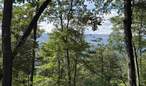 Photo #5 of 198 acres RUNIONS CREEK RD, BROADWAY, VA 198.5 acres