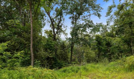 Photo #53 of 198 acres RUNIONS CREEK RD, BROADWAY, VA 198.5 acres