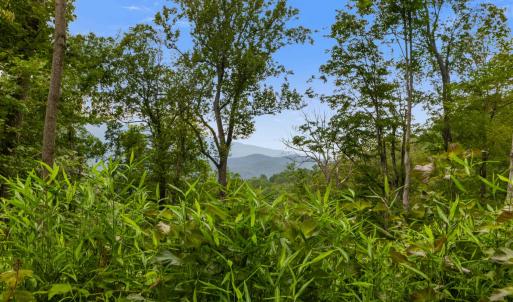 Photo #6 of 198 acres RUNIONS CREEK RD, BROADWAY, VA 198.5 acres