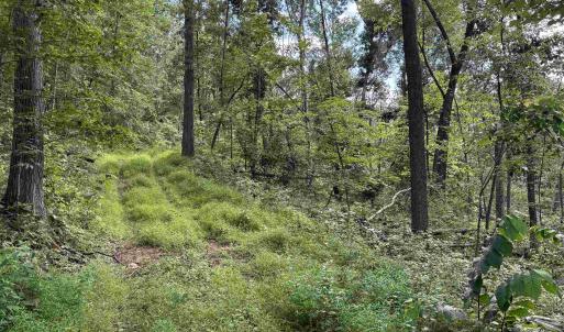 Photo #27 of 198 acres RUNIONS CREEK RD, BROADWAY, VA 198.5 acres