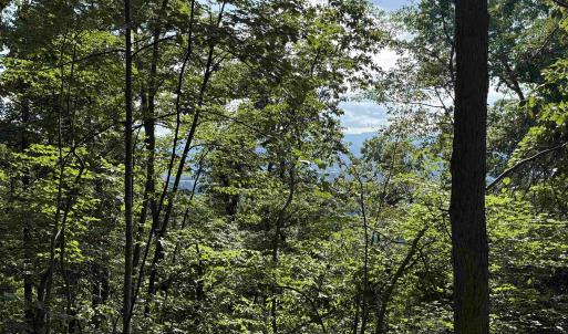 Photo #17 of 198 acres RUNIONS CREEK RD, BROADWAY, VA 198.5 acres