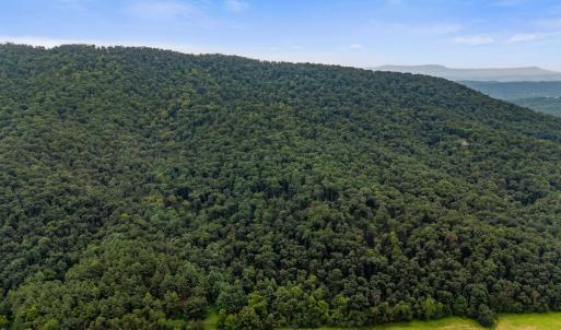 Photo #46 of 198 acres RUNIONS CREEK RD, BROADWAY, VA 198.5 acres