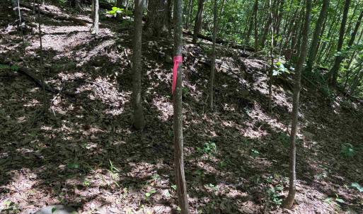Photo #6 of TM 42-1c BEAHM TOWN RD, CULPEPER, VA 23.3 acres