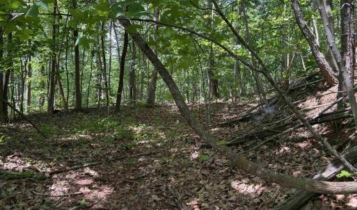 Photo #4 of TM 42-1c BEAHM TOWN RD, CULPEPER, VA 23.3 acres