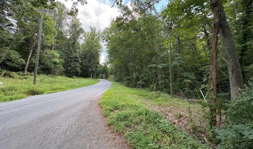 Photo #2 of TM 42-1c BEAHM TOWN RD, CULPEPER, VA 23.3 acres