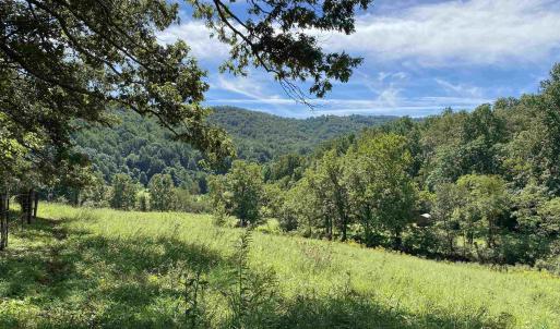 Photo #9 of 3047 WHIPPOORWILL RD, MADISON, VA 35.8 acres