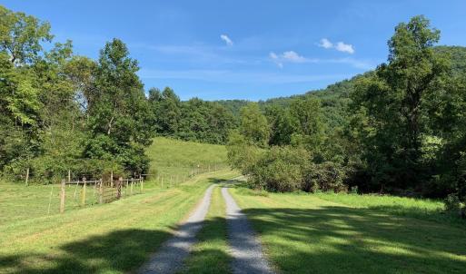 Photo #12 of 3047 WHIPPOORWILL RD, MADISON, VA 35.8 acres