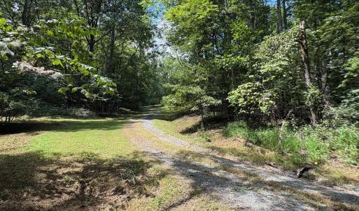 Photo #2 of 3047 WHIPPOORWILL RD, MADISON, VA 35.8 acres