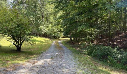 Photo #6 of 3047 WHIPPOORWILL RD, MADISON, VA 35.8 acres
