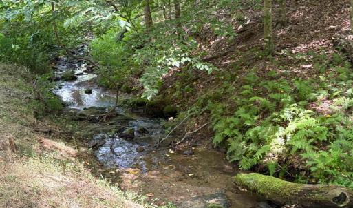 Photo #3 of 3047 WHIPPOORWILL RD, MADISON, VA 35.8 acres