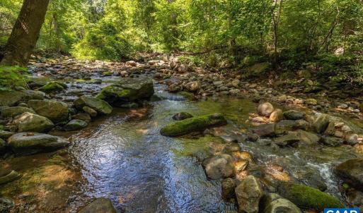 Photo #1 of 2530 BEECH GROVE RD, ROSELAND, VA 33.3 acres