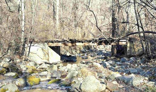 Photo #5 of 2530 BEECH GROVE RD, ROSELAND, VA 33.3 acres