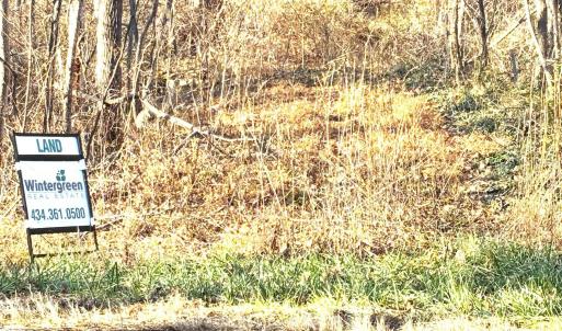 Photo #4 of 2530 BEECH GROVE RD, ROSELAND, VA 33.3 acres