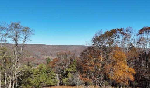 Photo #3 of TBD RICH HILLS RD, MONTEREY, VA 11.4 acres