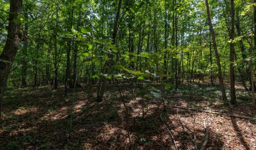 Photo #5 of 1.78 acres TRAYFOOT RD, GROTTOES, VA 1.8 acres