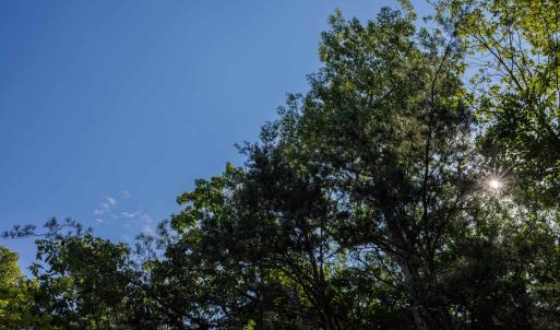 Photo #10 of 1.78 acres TRAYFOOT RD, GROTTOES, VA 1.8 acres