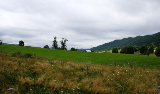 Photo #15 of TBD MILL GAP RD, MONTEREY, VA 24.9 acres