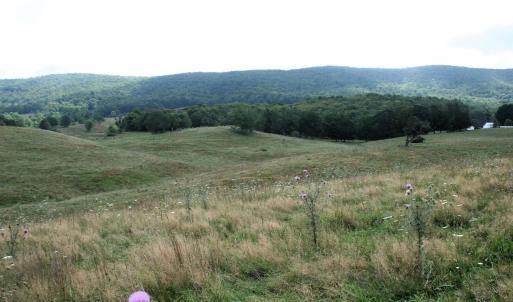 Photo #9 of TBD MILL GAP RD, MONTEREY, VA 24.9 acres