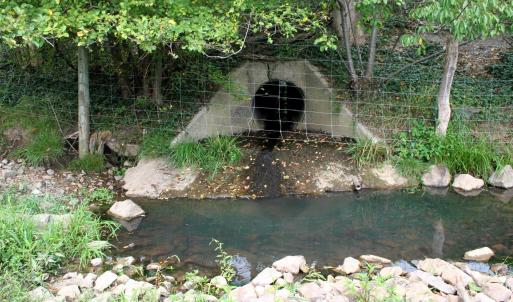 Photo #5 of TBD MILL GAP RD, MONTEREY, VA 24.9 acres