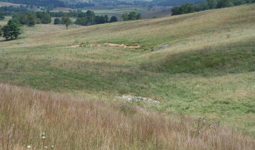 Photo #10 of TBD MILL GAP RD, MONTEREY, VA 24.9 acres