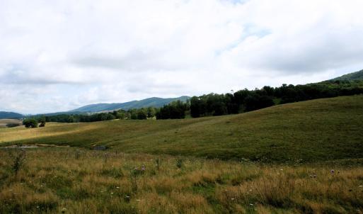 Photo #2 of TBD MILL GAP RD, MONTEREY, VA 24.9 acres