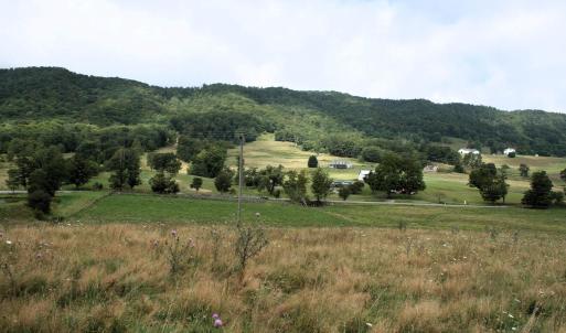 Photo #12 of TBD MILL GAP RD, MONTEREY, VA 24.9 acres
