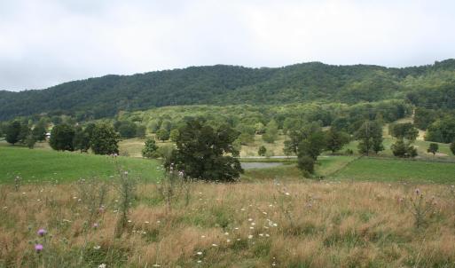 Photo #7 of TBD MILL GAP RD, MONTEREY, VA 24.9 acres