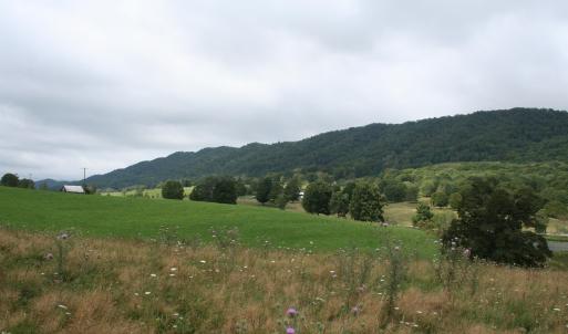 Photo #14 of TBD MILL GAP RD, MONTEREY, VA 24.9 acres