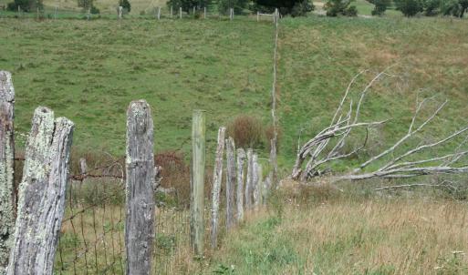 Photo #18 of TBD MILL GAP RD, MONTEREY, VA 24.9 acres