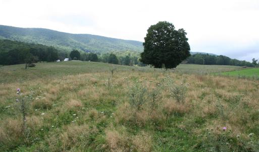 Photo #16 of TBD MILL GAP RD, MONTEREY, VA 24.9 acres