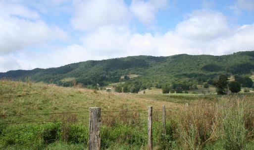 Photo #4 of TBD MILL GAP RD, MONTEREY, VA 23.9 acres