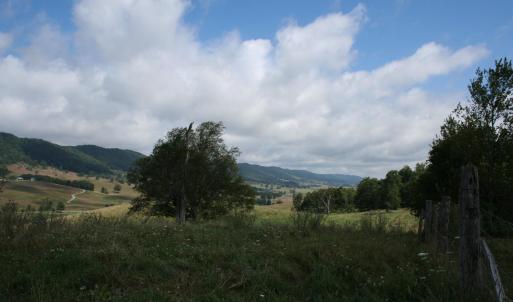 Photo #6 of TBD MILL GAP RD, MONTEREY, VA 23.9 acres