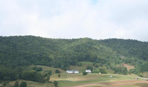 Photo #9 of TBD MILL GAP RD, MONTEREY, VA 23.9 acres