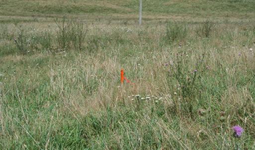 Photo #10 of TBD MILL GAP RD, MONTEREY, VA 23.9 acres