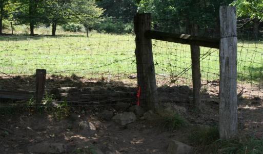 Photo #3 of TBD MILL GAP RD, MONTEREY, VA 23.9 acres