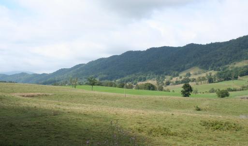 Photo #5 of TBD MILL GAP RD, MONTEREY, VA 23.9 acres