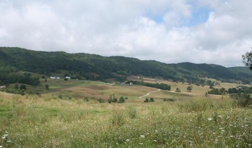 Photo #4 of TBD MILL GAP RD, MONTEREY, VA 22.1 acres