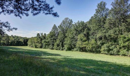 Photo #6 of LOT C LINK EVANS LN, EARLYSVILLE, VA 21.1 acres