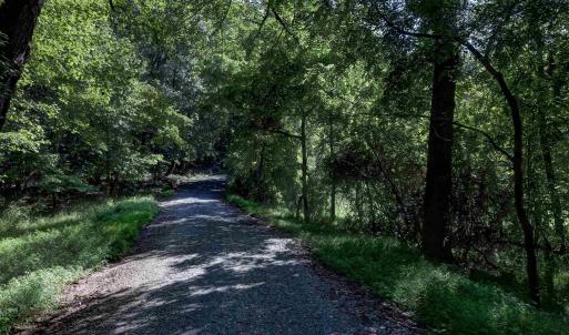 Photo #15 of LOT C LINK EVANS LN, EARLYSVILLE, VA 21.1 acres