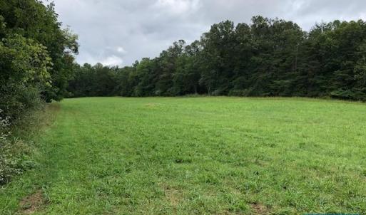 Photo #8 of LOT C LINK EVANS LN, EARLYSVILLE, VA 21.1 acres