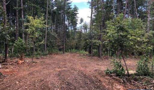 Photo #13 of LOT C LINK EVANS LN, EARLYSVILLE, VA 21.1 acres