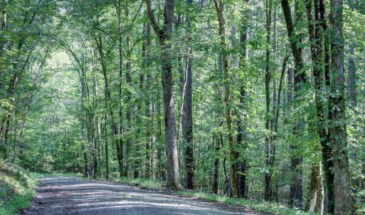 Photo #14 of LOT C LINK EVANS LN, EARLYSVILLE, VA 21.1 acres