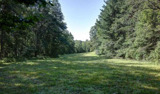 Photo #5 of LOT C LINK EVANS LN, EARLYSVILLE, VA 21.1 acres