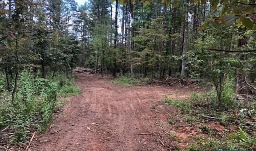 Photo #12 of LOT C LINK EVANS LN, EARLYSVILLE, VA 21.1 acres
