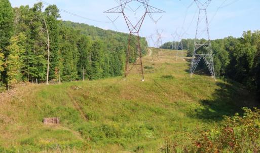 Photo #20 of MARGES MOUNTAIN LN, AMISSVILLE, VA 31.9 acres