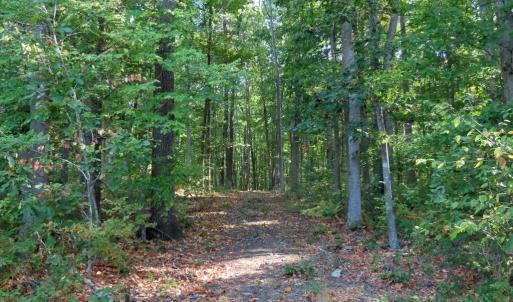 Photo #7 of MARGES MOUNTAIN LN, AMISSVILLE, VA 31.9 acres