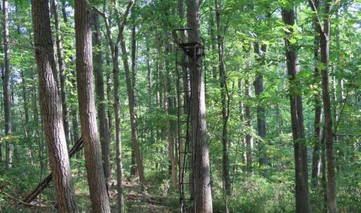 Photo #26 of MARGES MOUNTAIN LN, AMISSVILLE, VA 31.9 acres